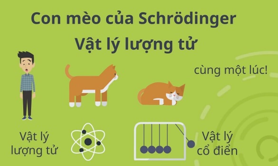 Con Mèo Của Schrödinger Sự Bí Ẩn Của Vật Lý Lượng Tử
